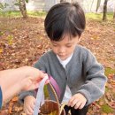 아이스크림스튜디오(주) 이미지