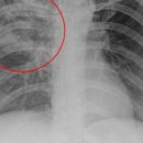 꽃보다이비인후과의원 이미지