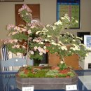 삼서면사무소 이미지