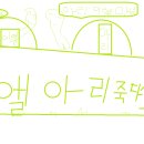 와이엘 이미지