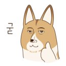 동구종합동물병원 이미지