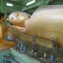 강아지song 네이버블로그