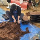 태동농장 이미지