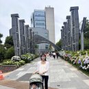 오색의류 | [울산 장생포] '2026년 장생포 수국 페스티벌' 방문 후기