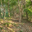 청벽대교 옆 화장실 이미지