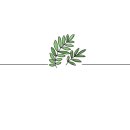 세종코아이비인후과의원 이미지