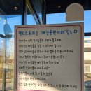 펫앤스토리 이미지