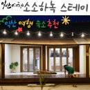 서초1동청사 앞마당 2 | 익산에서 즐기는 촌캉스 여행 모든게 완벽했던 익산풀빌라 소소하녹