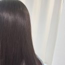 주식회사 온도니즈발란스 | 탈모예방두피케어 | 제이엘미라클티트리엘피피 트리트먼트 헤드스파처럼 시원한 사용후기