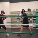 복싱대장 이미지