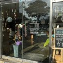 (주)신세계 울산영업소 | 울산 옥교동 카페 영감영감 비건 라이브 공연 애견 동반 후기