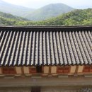 김삿갓다방 이미지