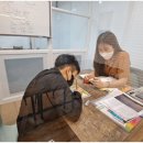 에듄영어학원 이미지