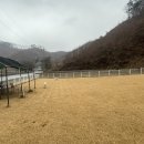 라지독스