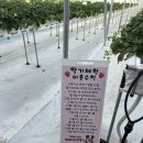 신남농장 이미지