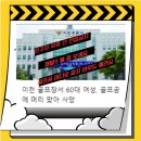 타구사고 전체 심각하게 확인 댓글 남겨주셍 (전원) 이미지