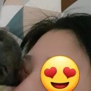 달님네일 이미지