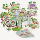 2023 전국 가을꽃축제하는곳 추천 BEST 5