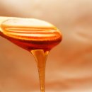 채널24시 이미지