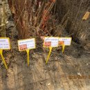 염곡사거리 코트라 앞 이미지