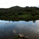 섬마을농원 이미지