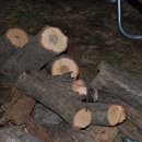 자작 캠핑장 이미지