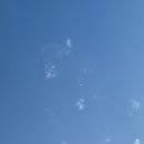 (14일)금요일 가을 바람 오심 이미지