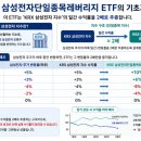 삼성전자 2배 수익 가능? RISE 삼성전자단일종목레버리지 ETF 총정리
