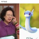 강원도오징어순대 이미지