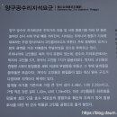 양구공수리지석묘군 이미지