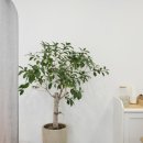 심리상담센터 진담소 이미지