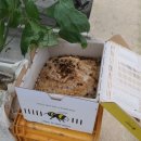 유도열농장 이미지