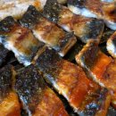 풍경장어 이미지