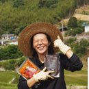 송가애셋 네이버블로그