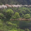 ⁠[이야기가 있는 소읍(小邑) 기행] 무주·해미 - 주간조선
