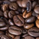 몰트 | 글렌모렌지 시그넷 가격·테이스팅 노트｜초콜릿 몰트 위스키 솔직 후기