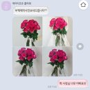 ᭙. 촬영부케: 맞춤형 야외 웨딩스냅 온리장미 핫핑크 장미 다발 &#39;에이티포유&#39; 만족후기