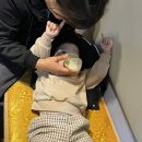 꽃섬&불낙원 이미지