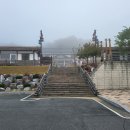 목계숲 2 이미지