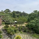 용두농장2 | 광주 근교 애견카페 추천 아벤티노의 농장 (입장료 무료, 멍푸치노 판매, 목줄없이 뛰놀 수 있는 공간...
