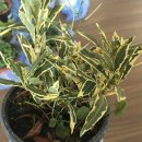 범수농장 이미지