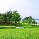 푸릇해