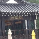 가비가배 이미지