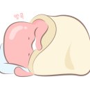 쿠킷쿠킷