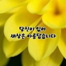 5월28일 목요일 하루를 행복하게 보내려면 출첵해야지요~~ 이미지