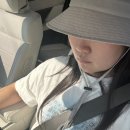 [수영] 수린이의 첫 수영대회 후기(26년 제 15회 경주시 수영연맹회장배 전국마스터즈 수영대회)