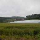 논향농장 이미지