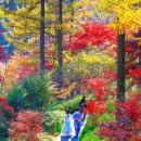 볼거리·즐길거리 가득한 서울 근교 가을 여행지 이미지