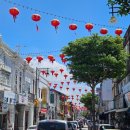 국민체육센터 맞은편 교통섬 내 | 적응하기 쉽지않은 다른문화