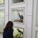 팔랑리 박제전시관 이미지